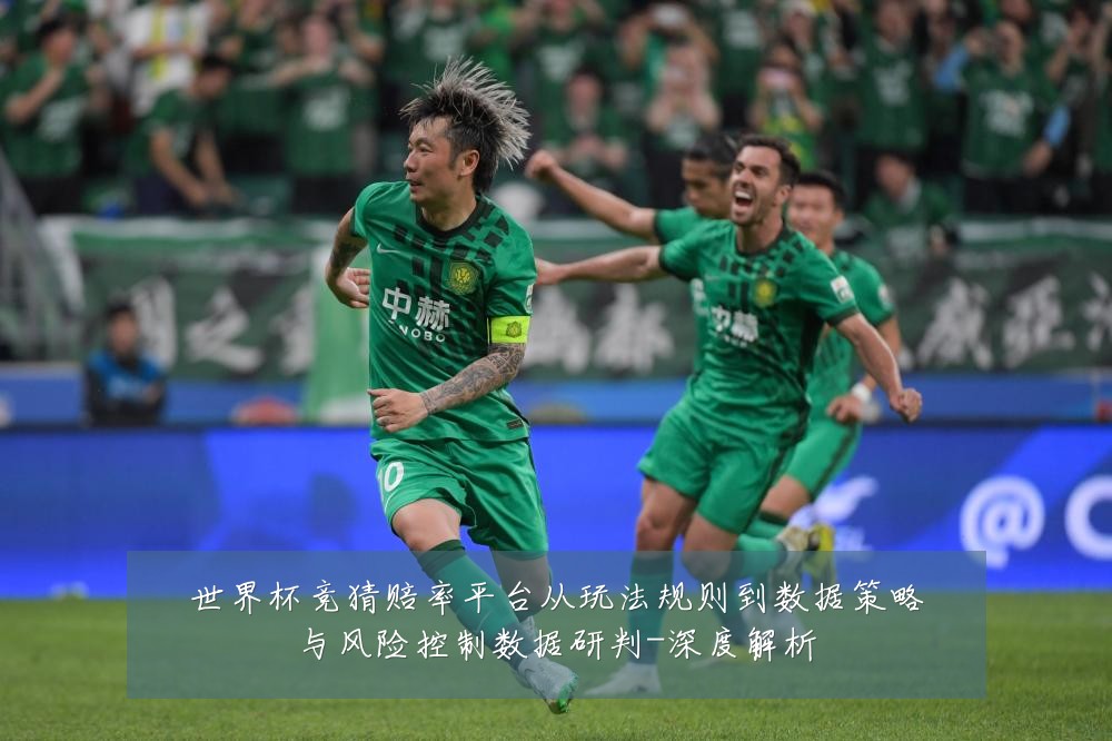 世界杯竞猜赔率平台从玩法规则到数据策略与风险控制数据研判-深度解析